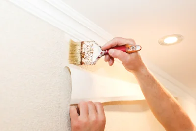 Pose de papier peint à Palasca — revêtements muraux et toiles de verre